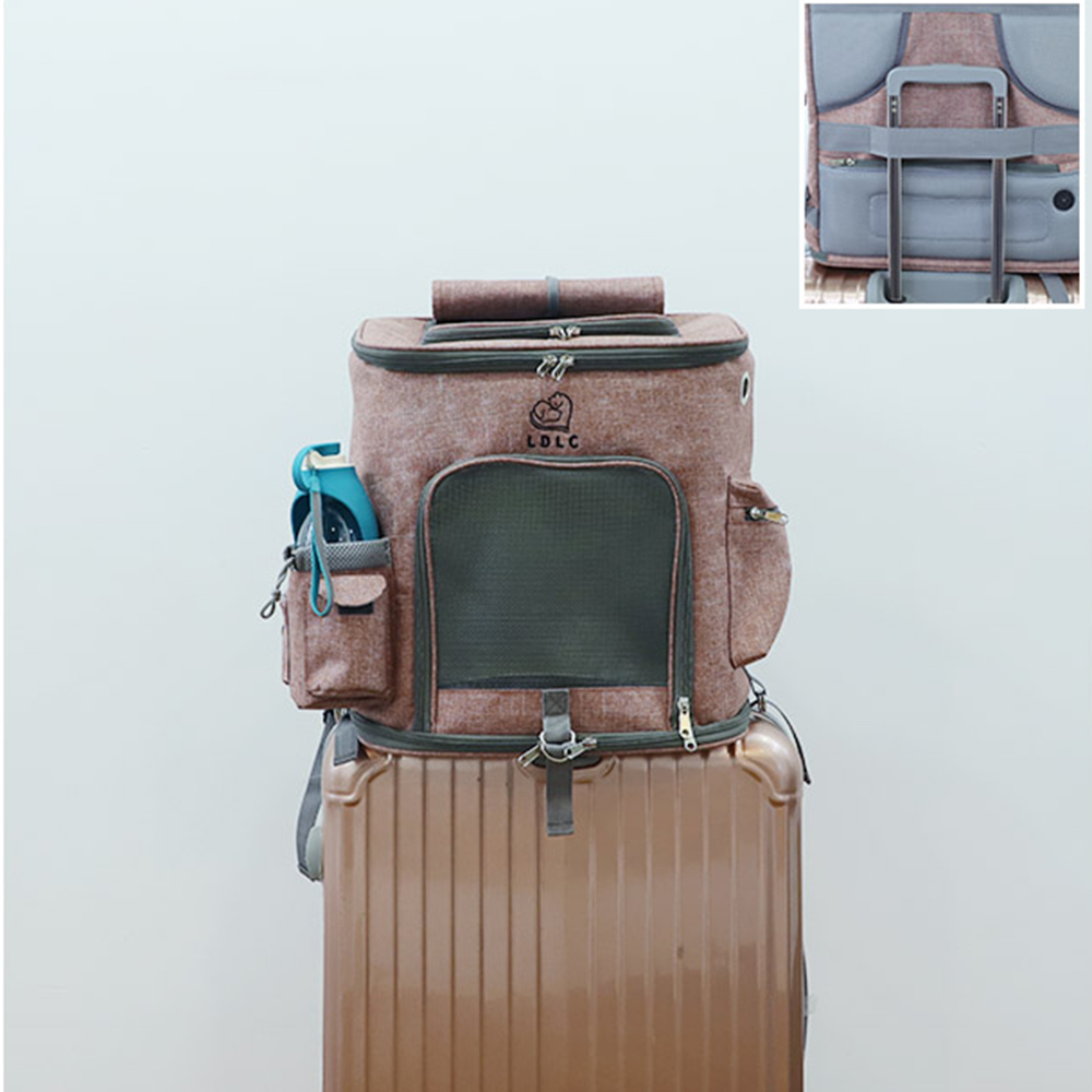 Traveling Pets
