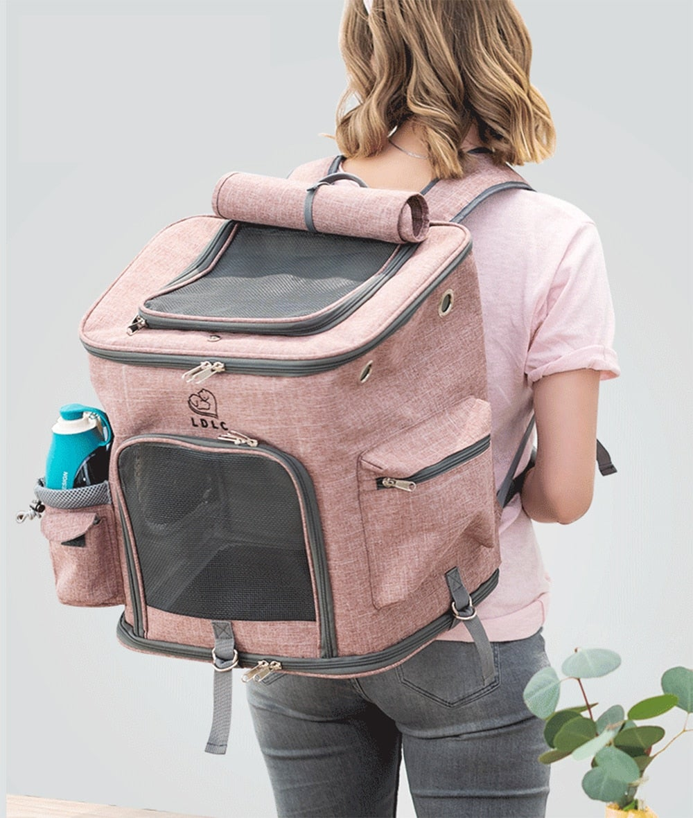 Traveling Pets