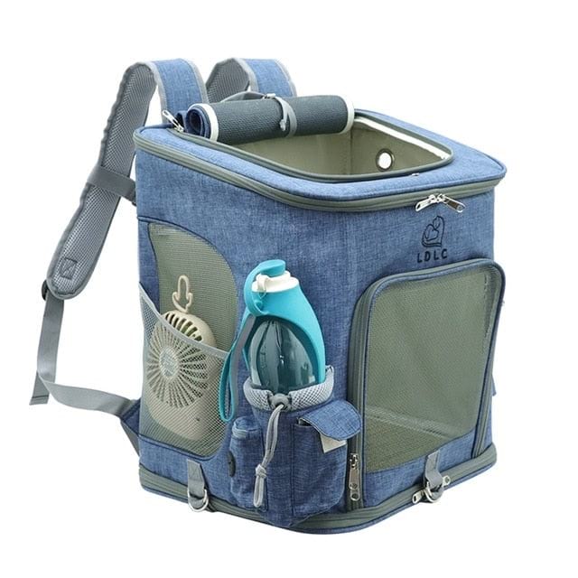 Traveling Pets